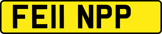 FE11NPP