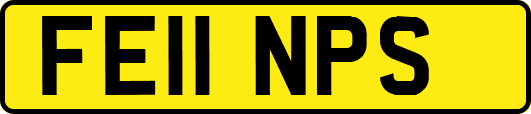 FE11NPS