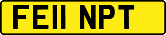 FE11NPT