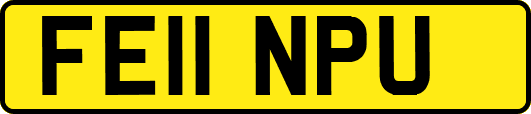 FE11NPU