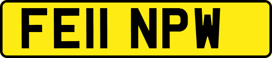 FE11NPW