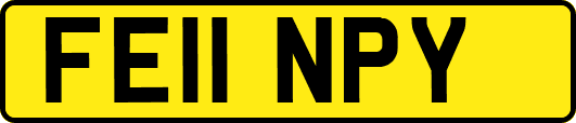 FE11NPY