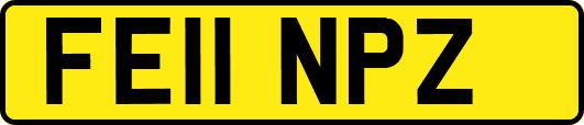FE11NPZ