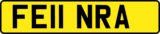 FE11NRA