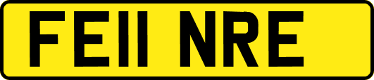 FE11NRE