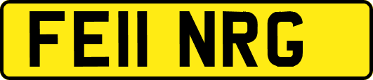 FE11NRG