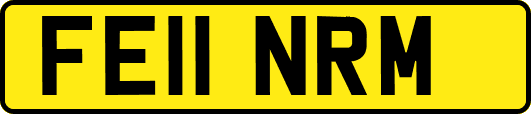 FE11NRM