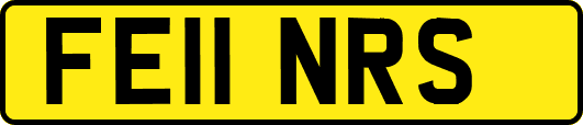 FE11NRS