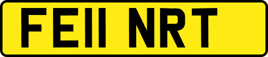 FE11NRT