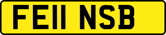 FE11NSB