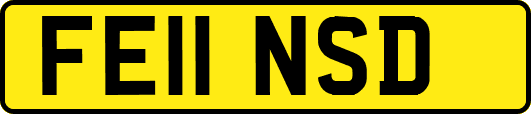 FE11NSD