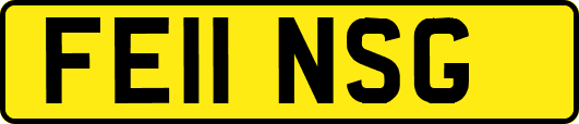 FE11NSG