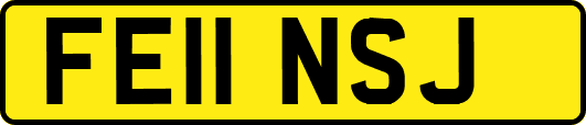 FE11NSJ