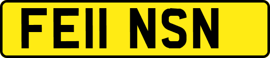 FE11NSN