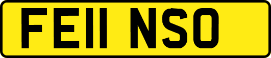 FE11NSO