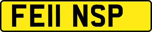 FE11NSP