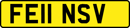 FE11NSV