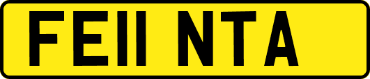 FE11NTA