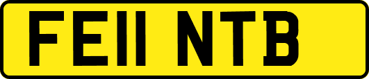FE11NTB
