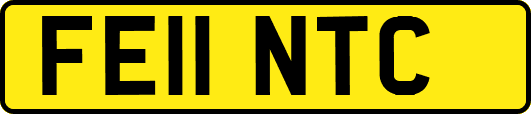 FE11NTC