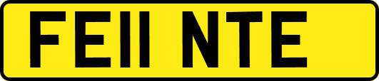 FE11NTE