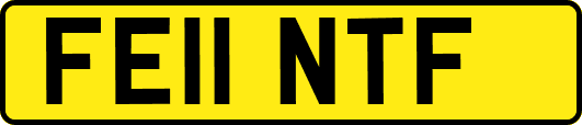FE11NTF