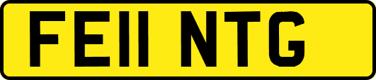 FE11NTG