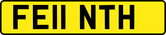 FE11NTH