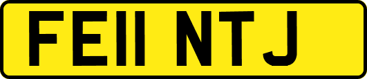 FE11NTJ