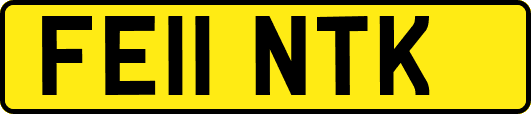 FE11NTK