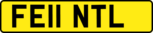 FE11NTL