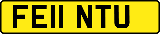 FE11NTU