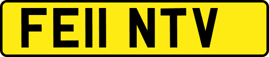 FE11NTV