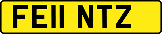 FE11NTZ