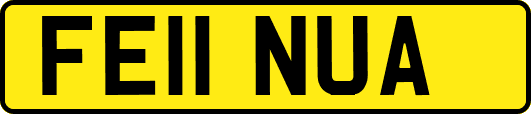 FE11NUA