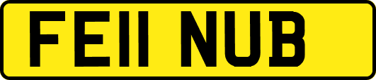 FE11NUB