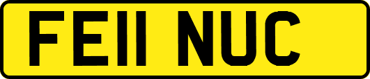 FE11NUC