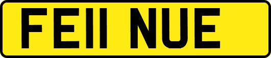FE11NUE