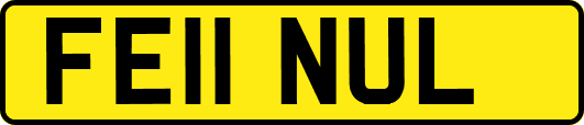 FE11NUL