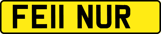 FE11NUR