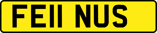 FE11NUS