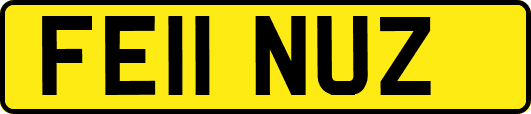 FE11NUZ