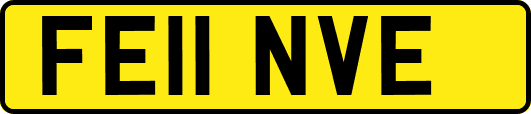 FE11NVE