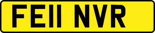 FE11NVR