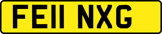 FE11NXG