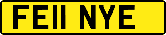 FE11NYE