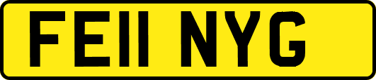FE11NYG