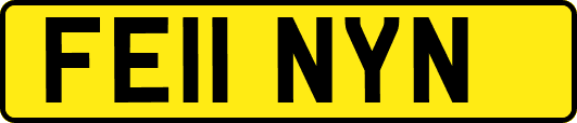 FE11NYN