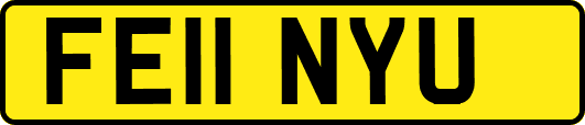 FE11NYU