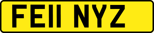 FE11NYZ